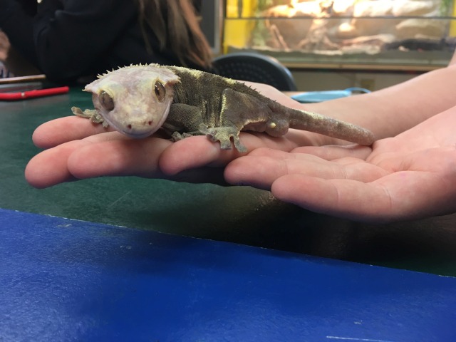 Science Lab
