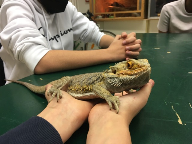 Science Lab