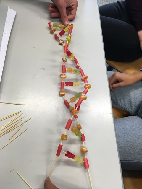 DNA