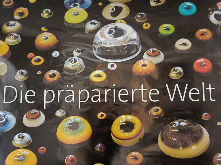 Präparierte Welt