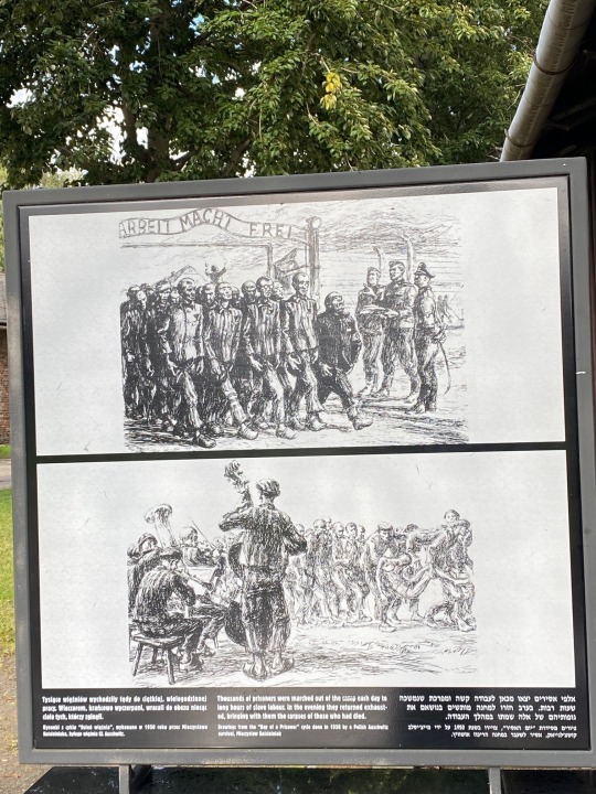 Auschwitz