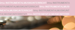 IMU