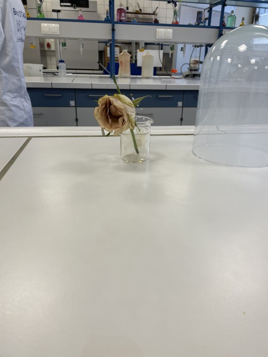 Chemie